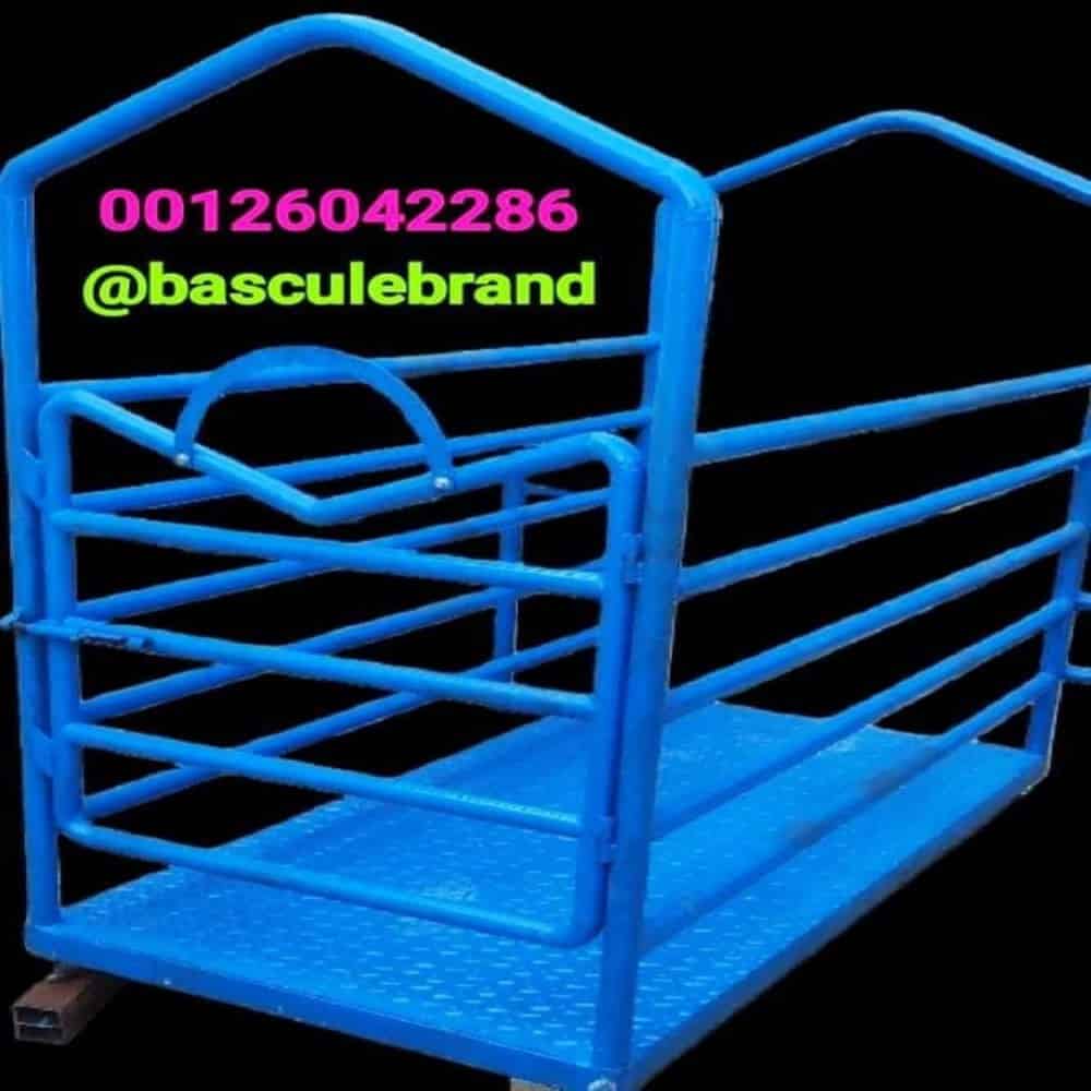 باسکول مدل SD11